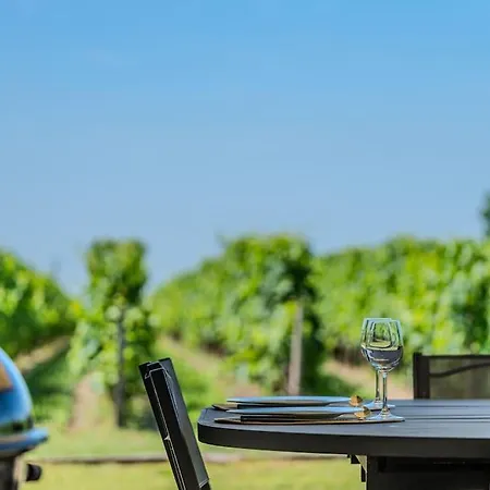 Tatil Evi Maison Cosy Vue Sur Le Vignoble St Emilion *
