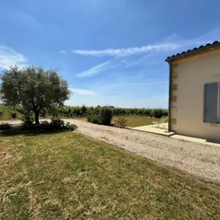 Tatil Evi Maison Cosy Vue Sur Le Vignoble St Emilion *