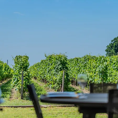 Tatil Evi Maison Cosy Vue Sur Le Vignoble St Emilion *